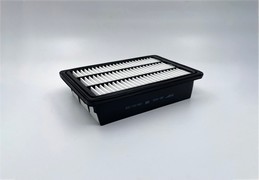 GB935 фильтр очистки воздуха BIGFILTER