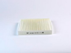GB9869 фильтр салона BIGFILTER