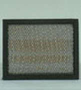 AF25227 фильтр очистки воздуха FLEETGUARD